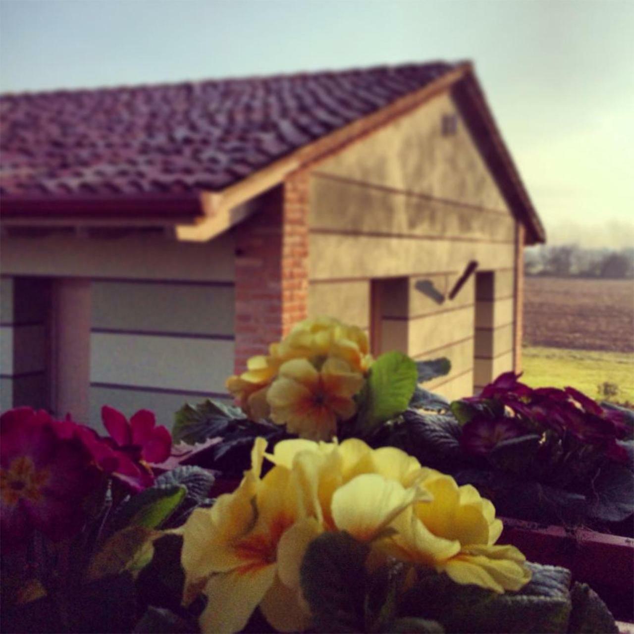 Agriturismo Bassanine Monticelli d'Ongina Bagian luar foto