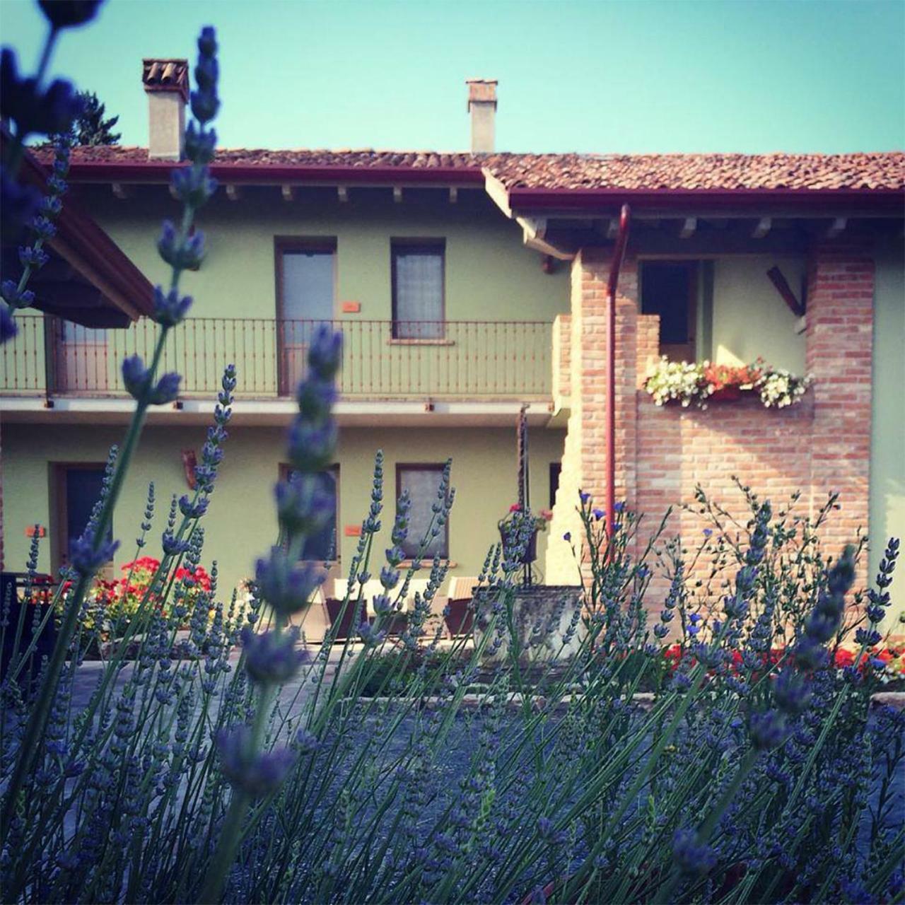 Agriturismo Bassanine Monticelli d'Ongina Bagian luar foto